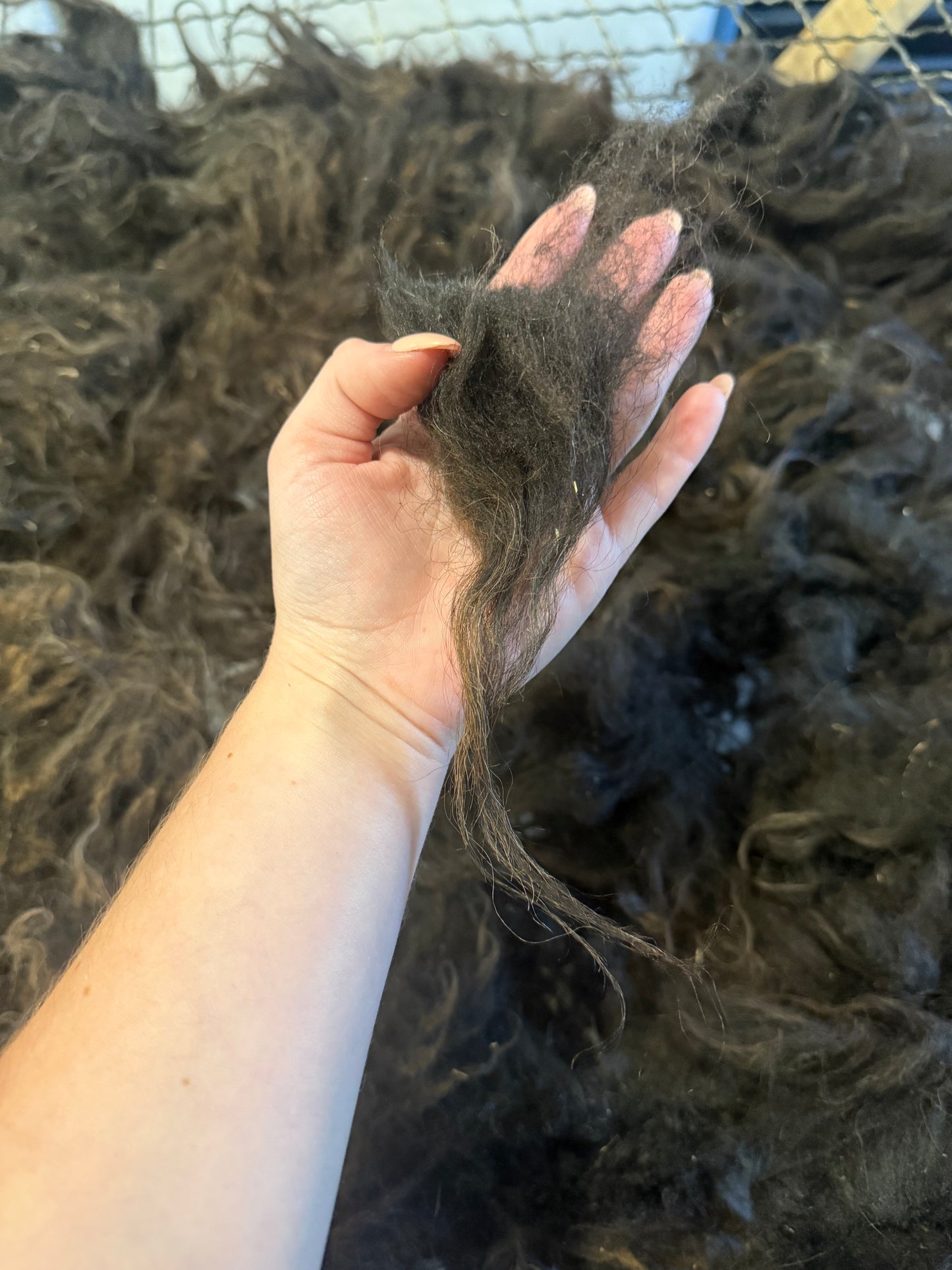 Icelandic Fall 2025 Fleece - “Fjóla”