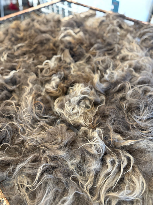 Icelandic Fall 2025 Fleece - “Inrama”