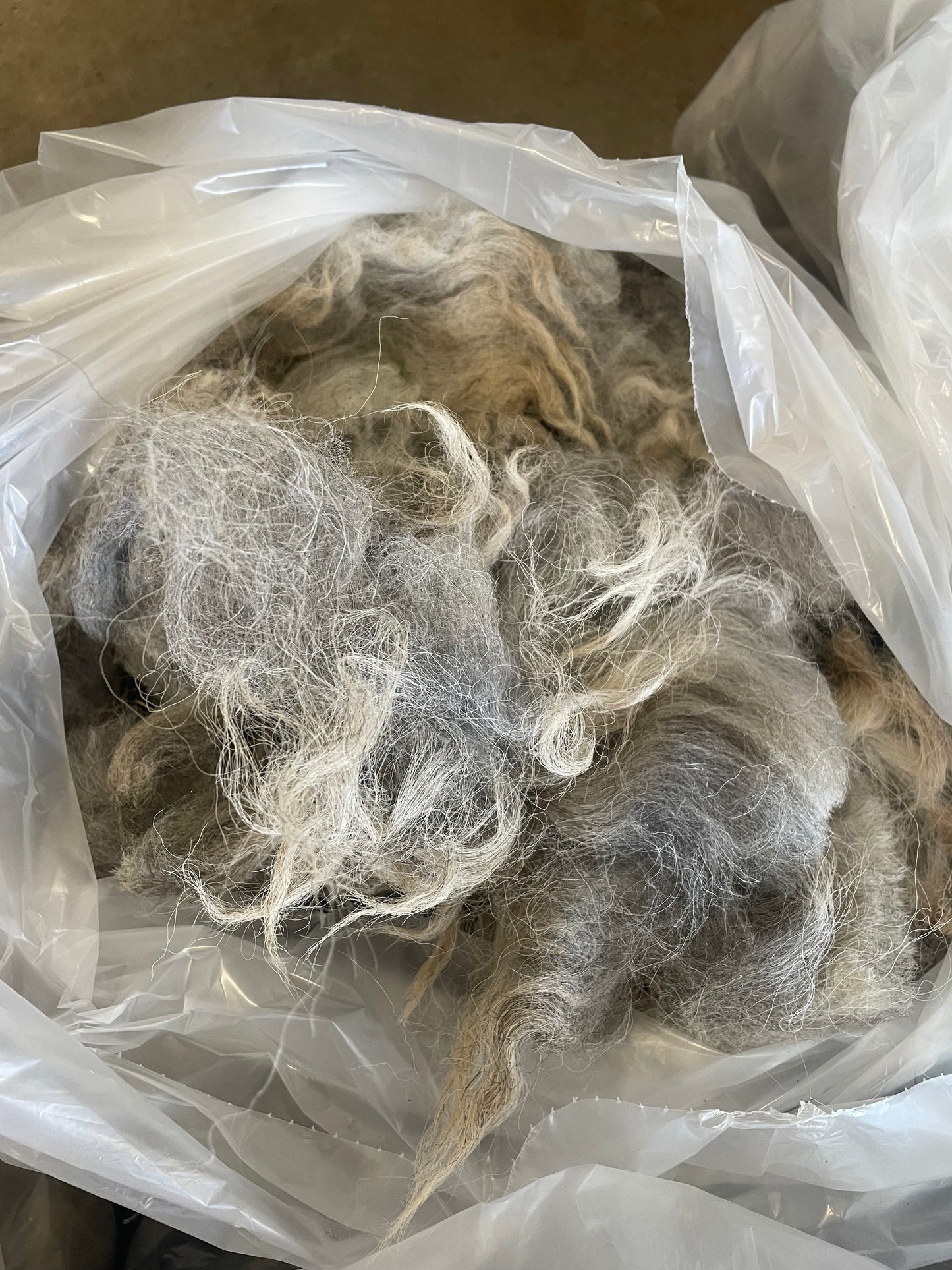 Navajo Churro Fleece - Rowan