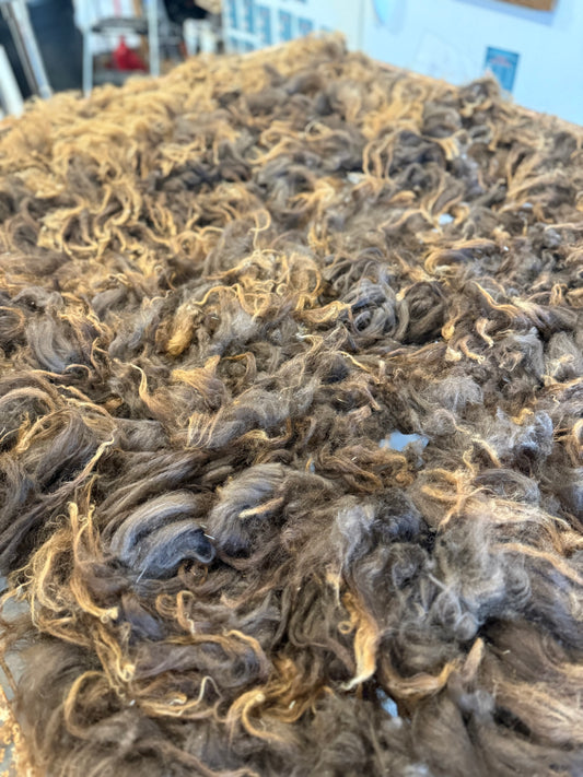 Icelandic Lamb Fall 2025 Fleece - “Faida”