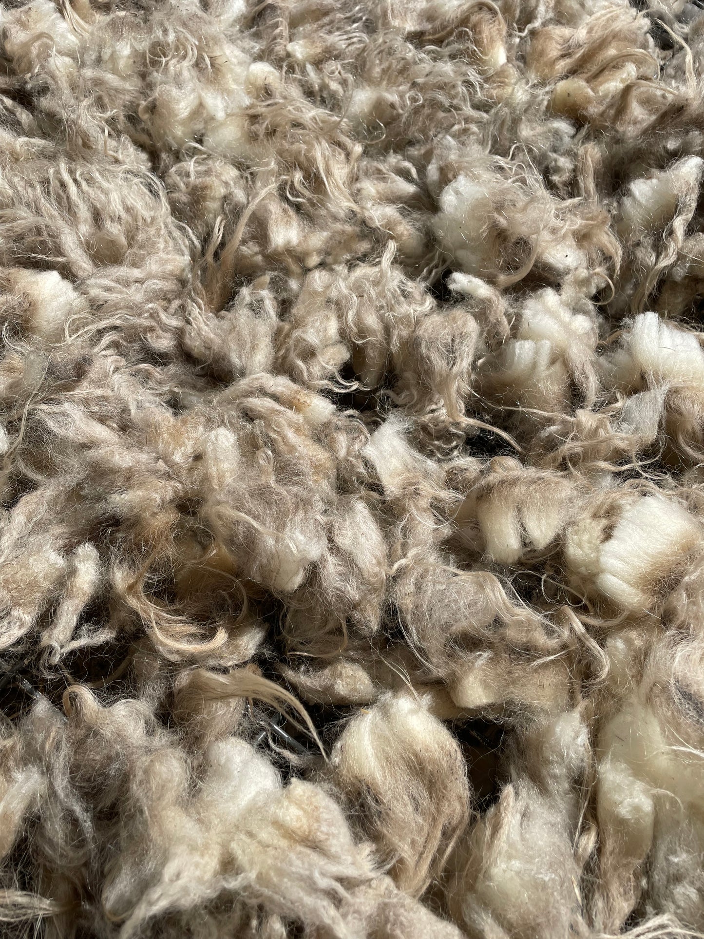 Icelandic Fleece - Lilja