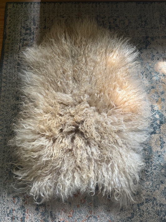 Icelandic Hide - “Joey”
