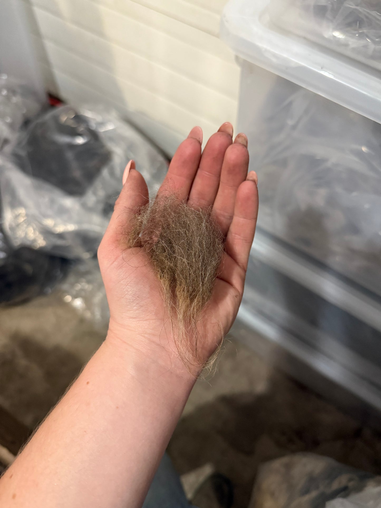 Icelandic Fall 2025 Fleece - “Isa”