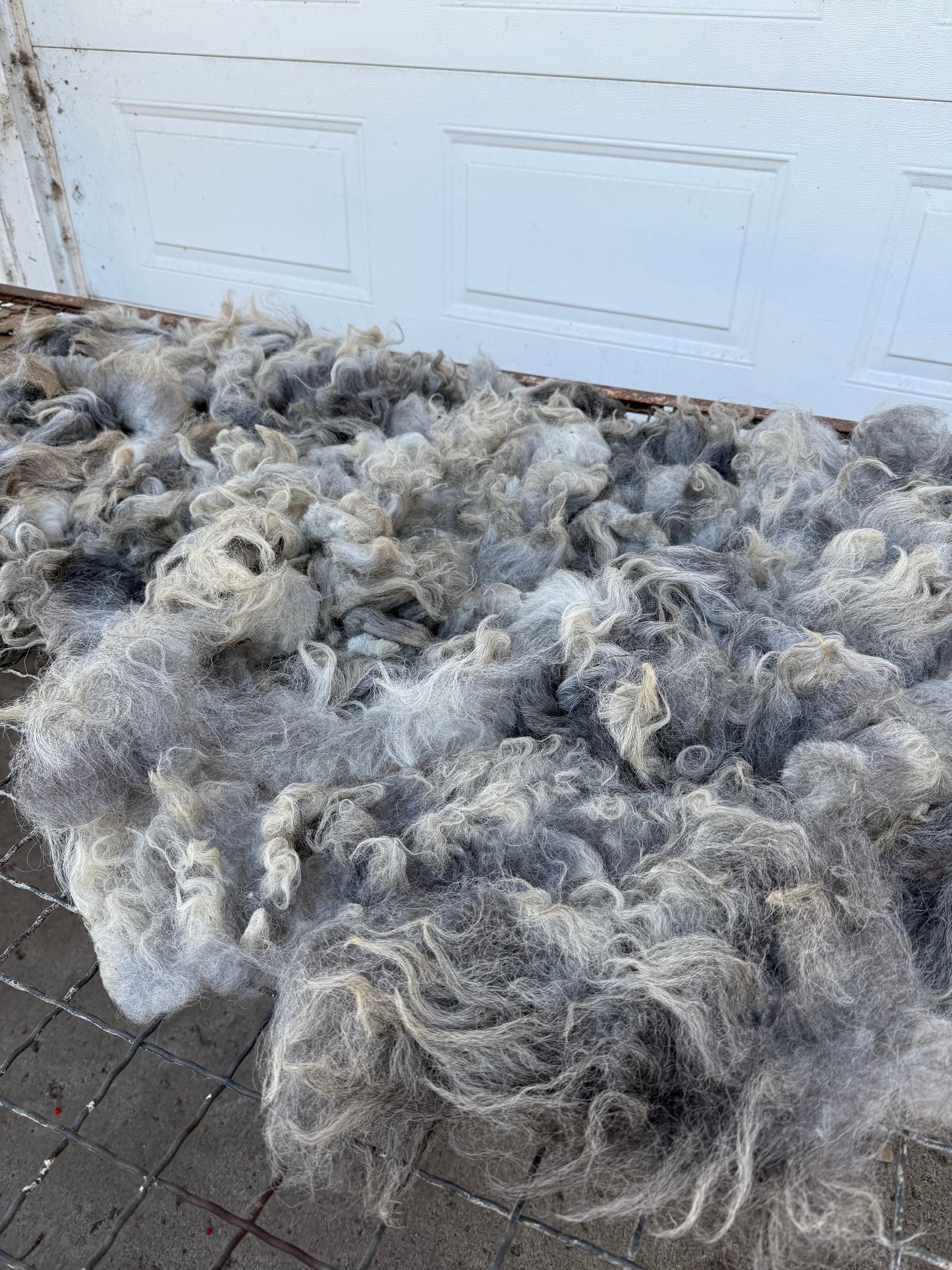 Navajo Churro Fleece - Rowan