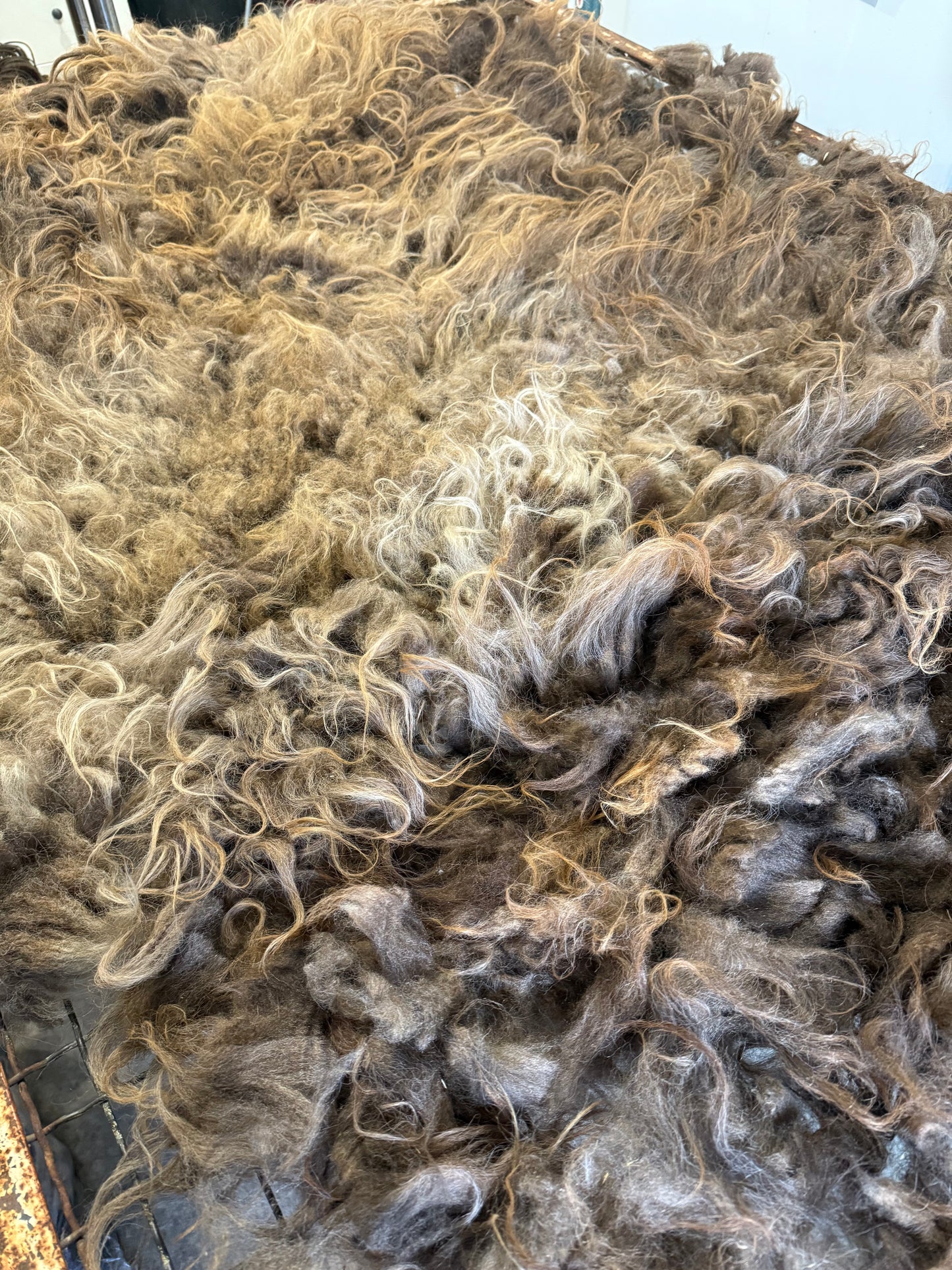 Icelandic Fall 2025 Fleece - “Andi”