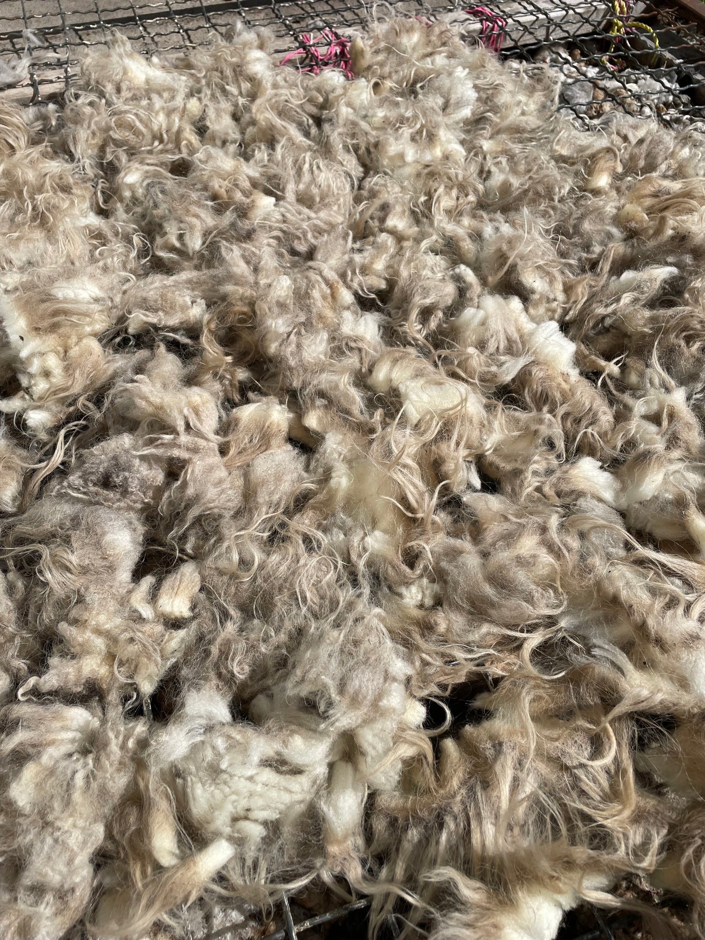 Icelandic Fleece - Lilja