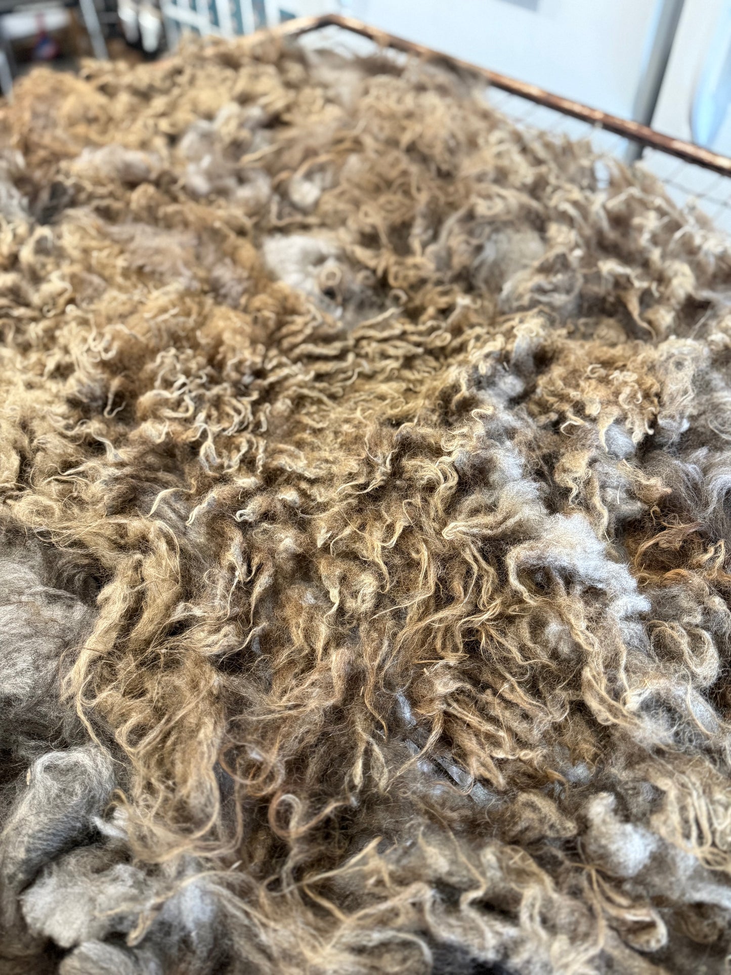 Icelandic Fall 2025 Fleece - “Ragnar”