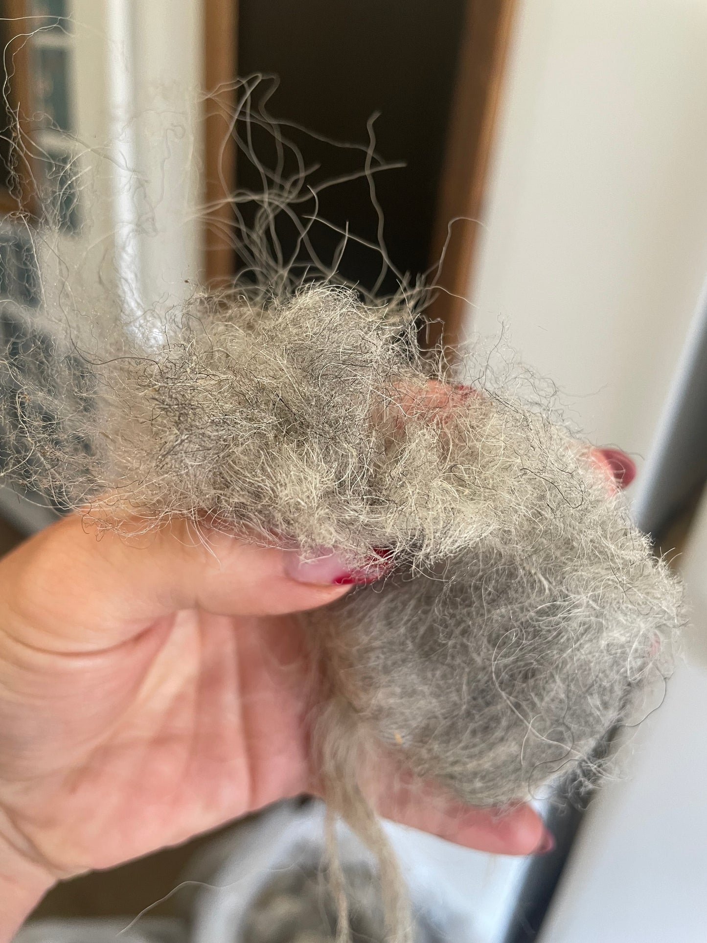 Navajo Churro Fleece - Rowan
