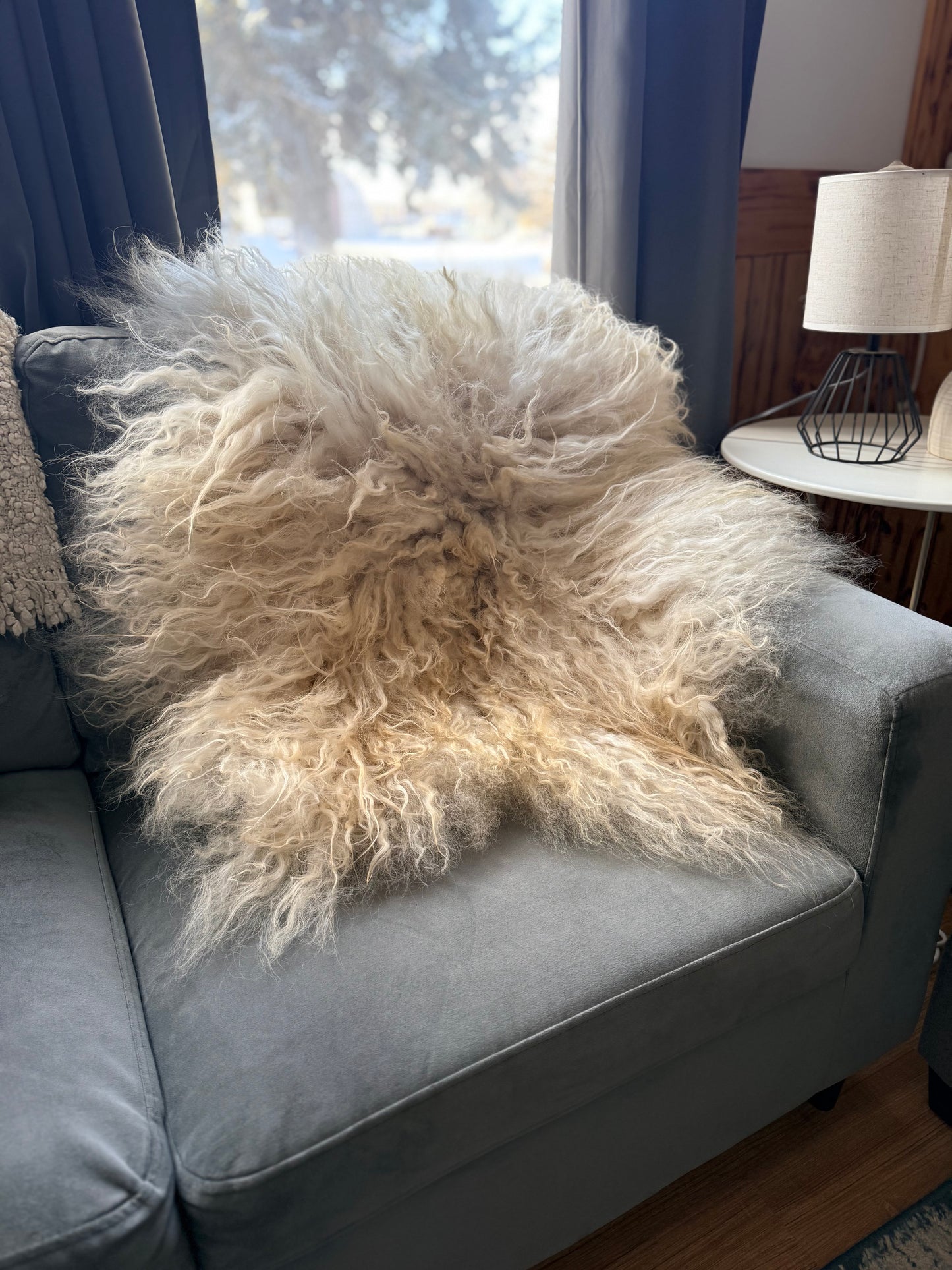 Icelandic Sheepskin - “Angus”
