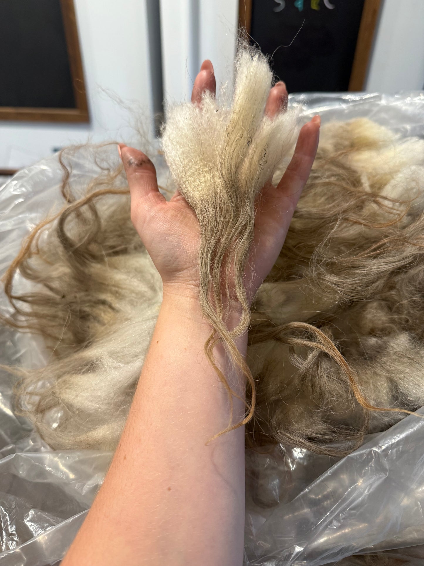 Icelandic Fall 2025 Fleece - “Icy”