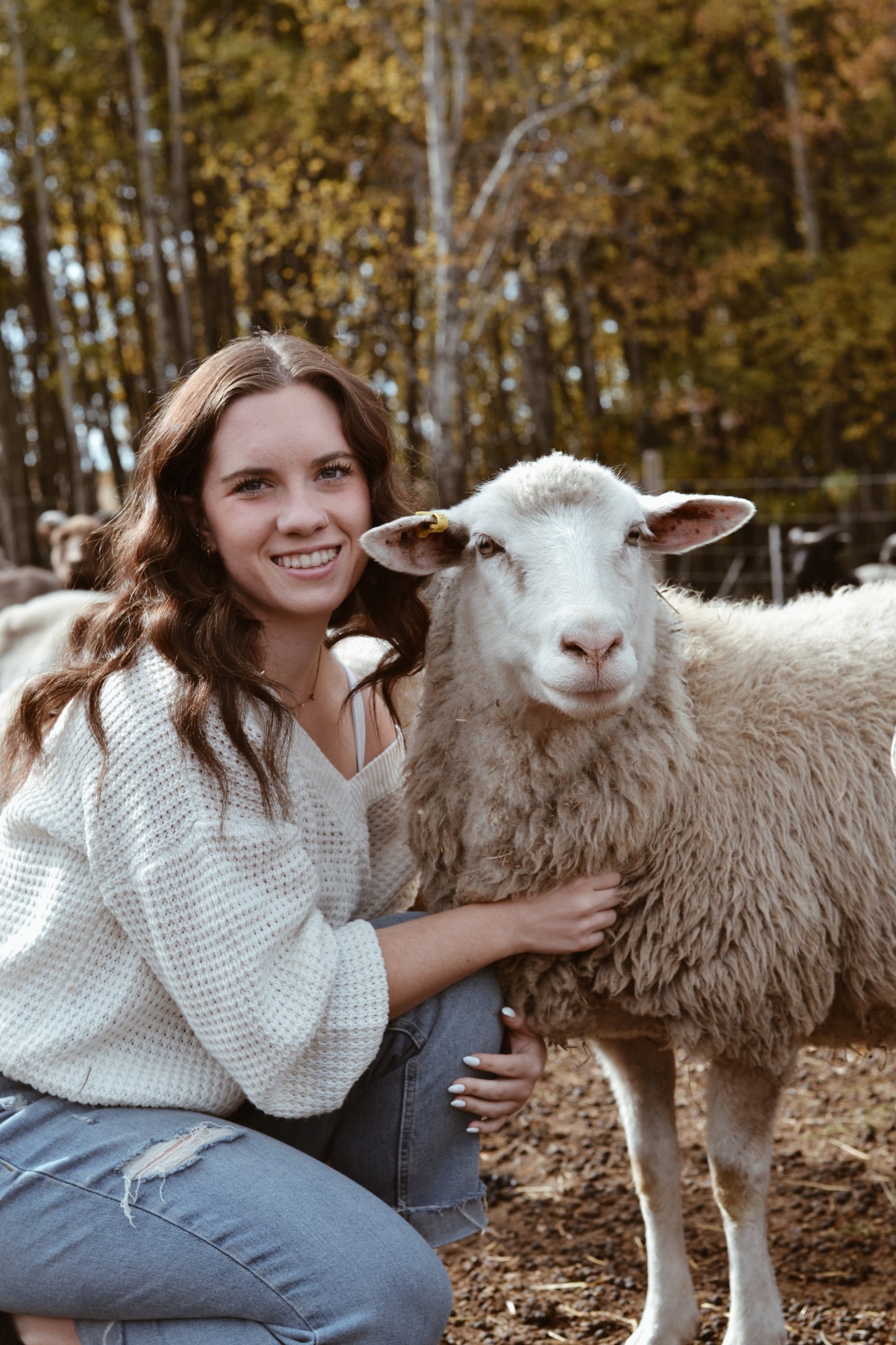 Rideau Arcott Wool Dryer Balls - Belle