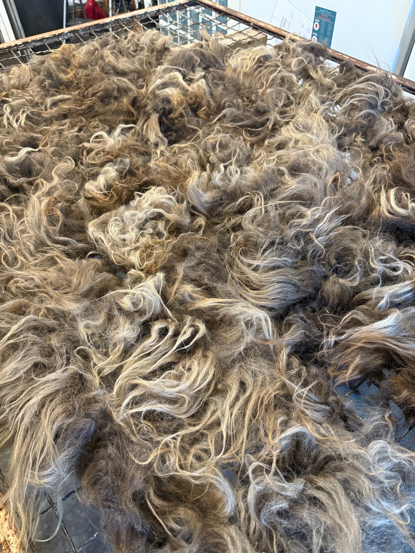Icelandic Fall 2025 Fleece - “Inrama”