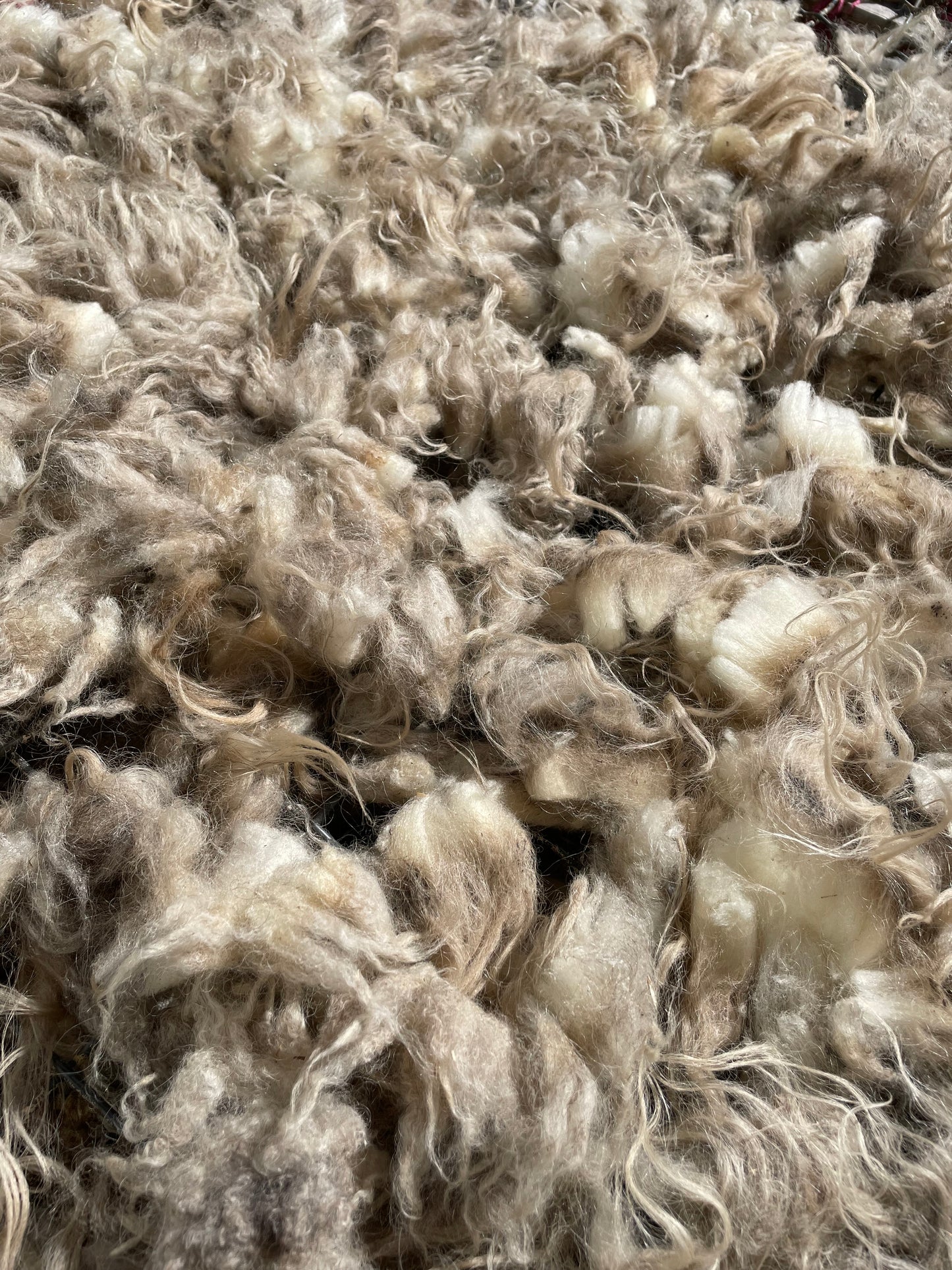 Icelandic Fleece - Lilja