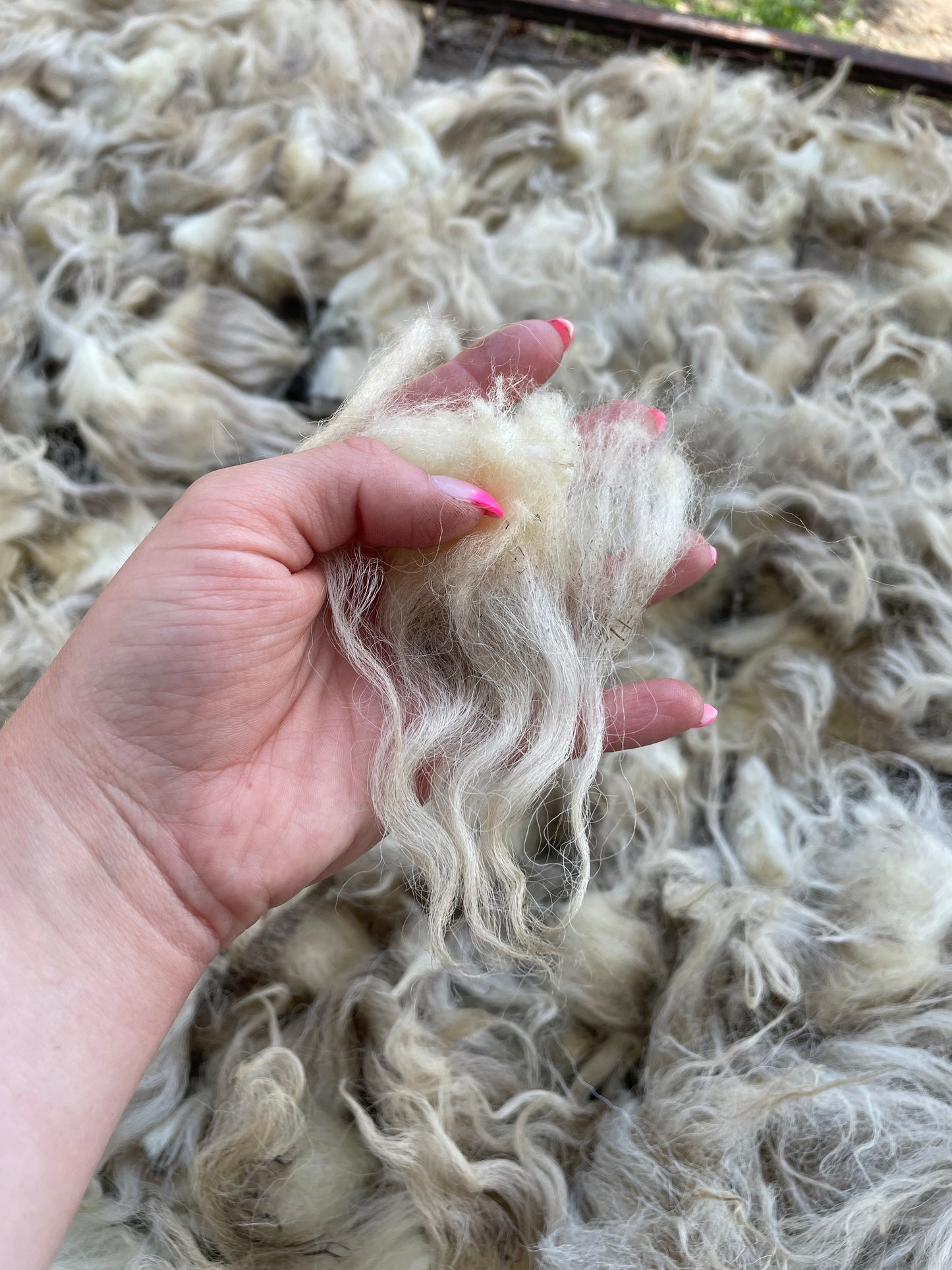 Navajo Churro Fleece - Snow