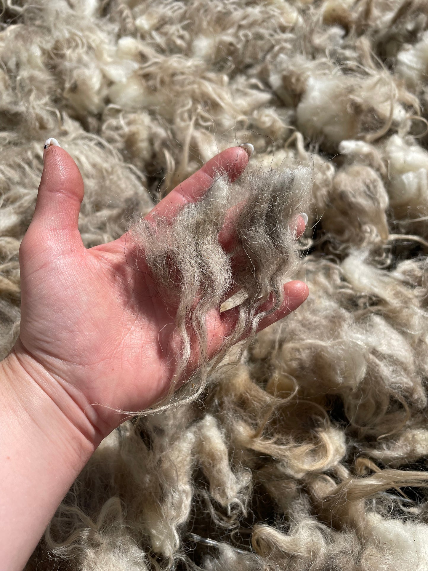Icelandic Fleece - Lilja