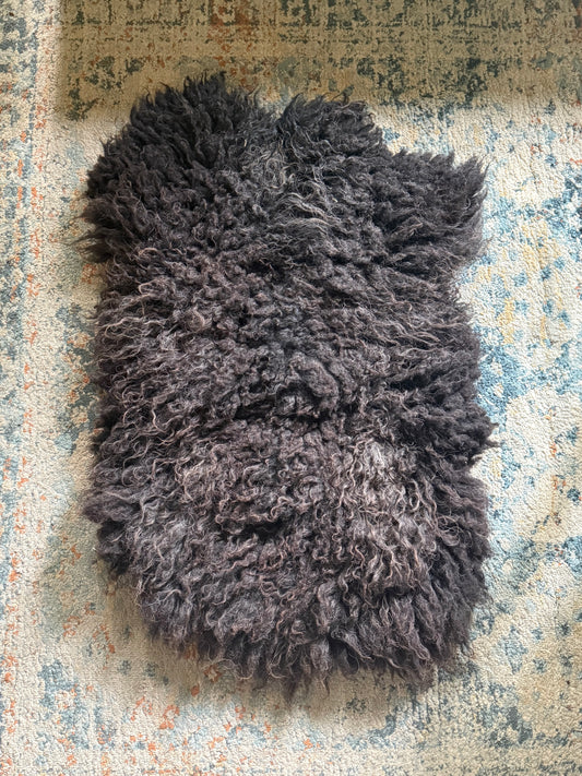 Navajo Churro x Icelandic Hide - “Skye”