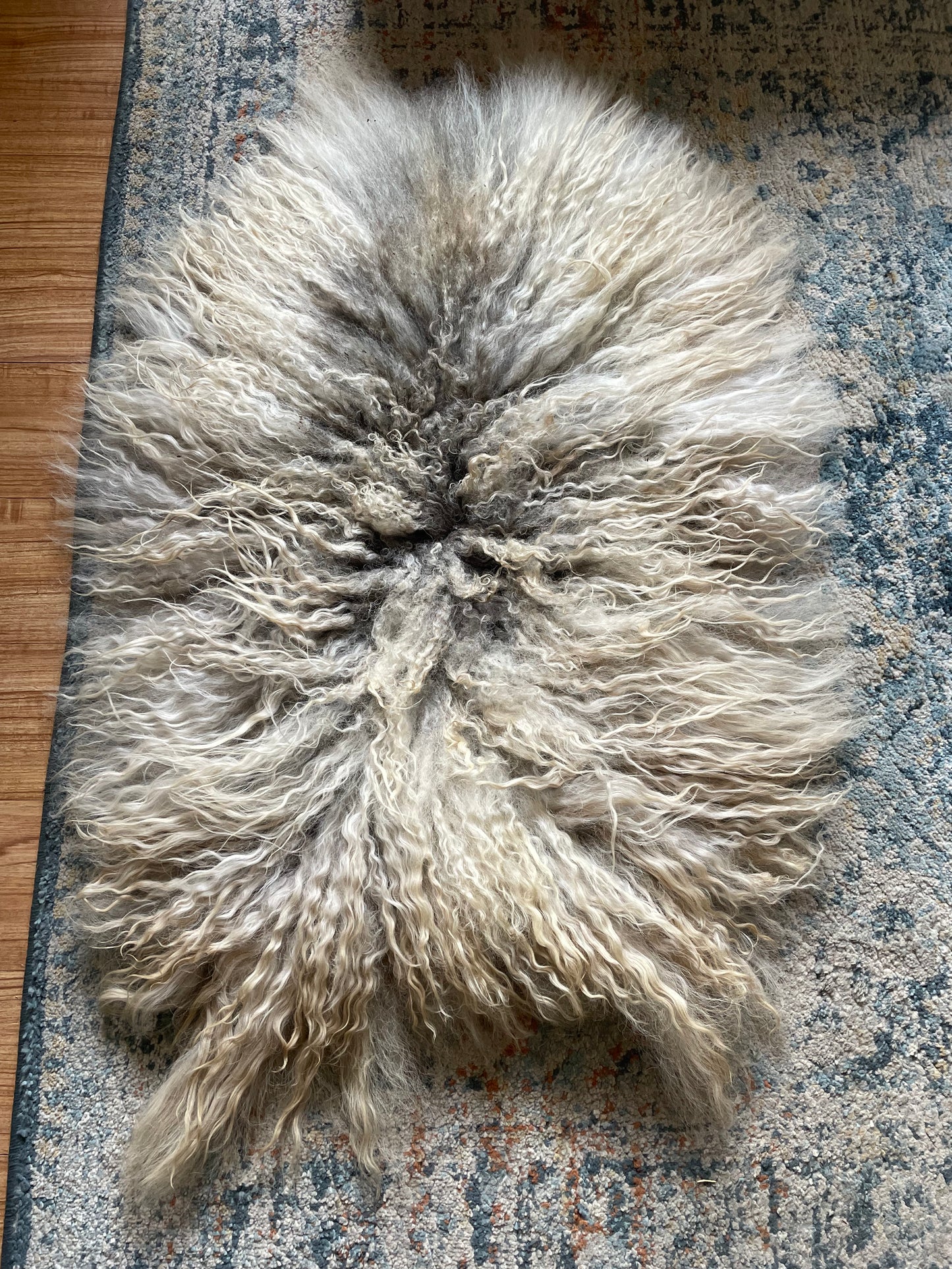 Icelandic Hide - “Jackson”