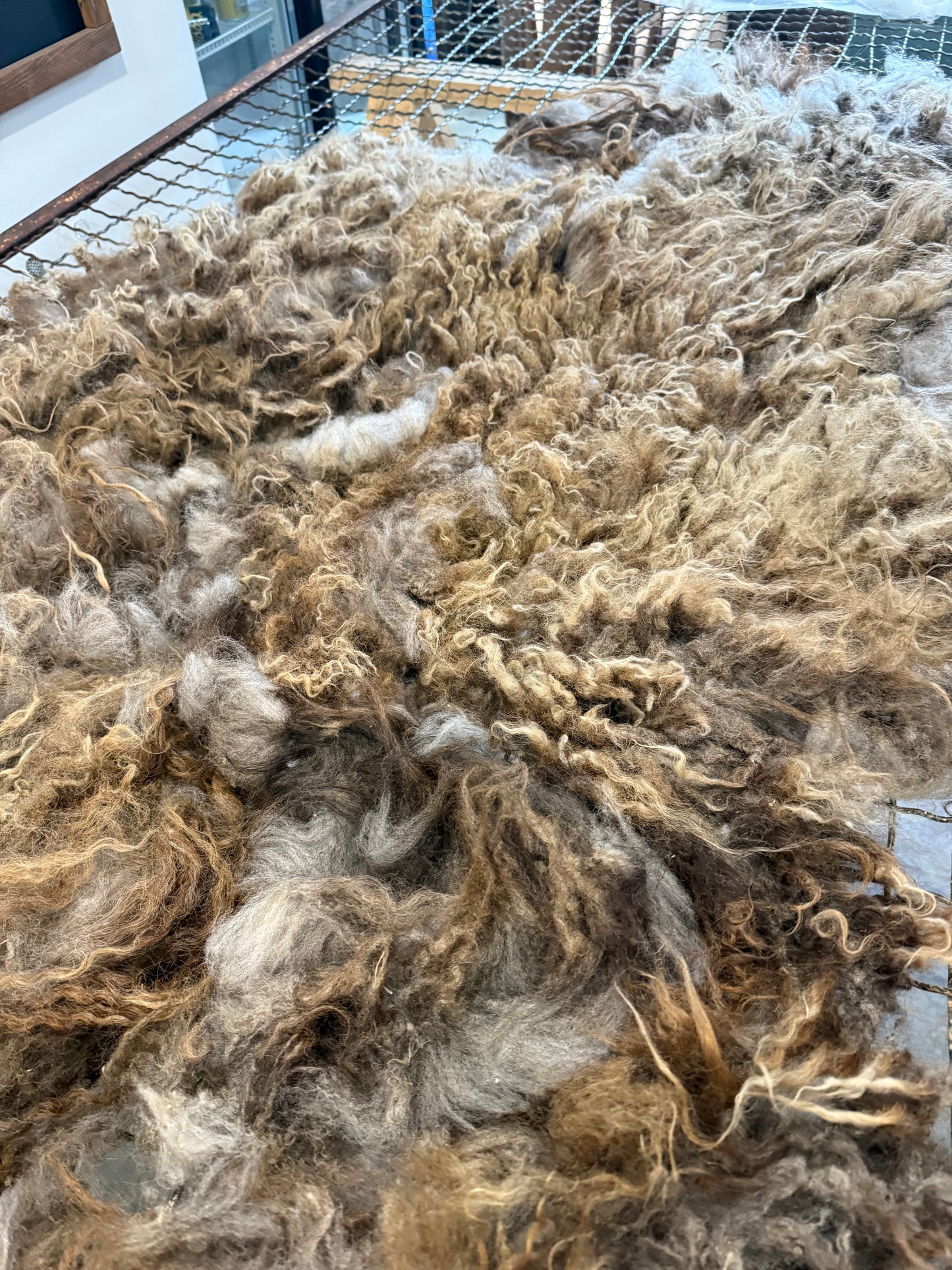 Icelandic Fall 2025 Fleece - “Ragnar”