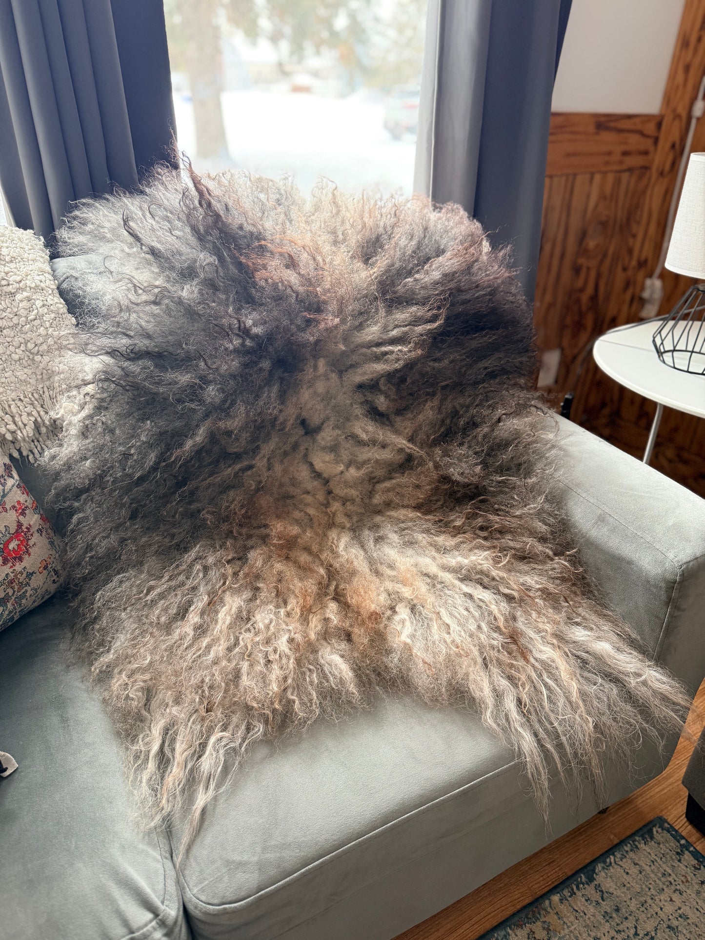 Icelandic Sheepskin - “Johnny”