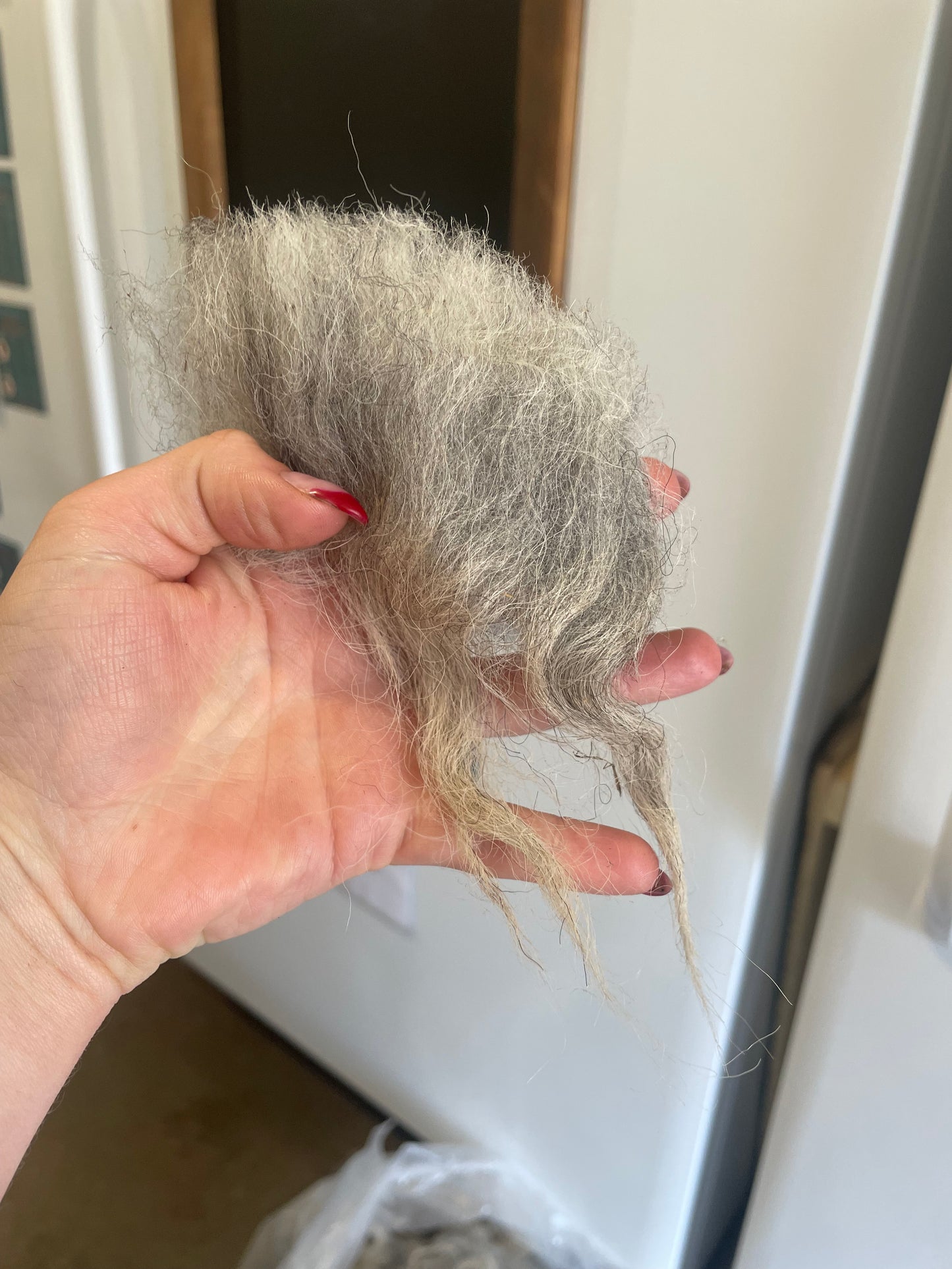 Navajo Churro Fleece - Rowan