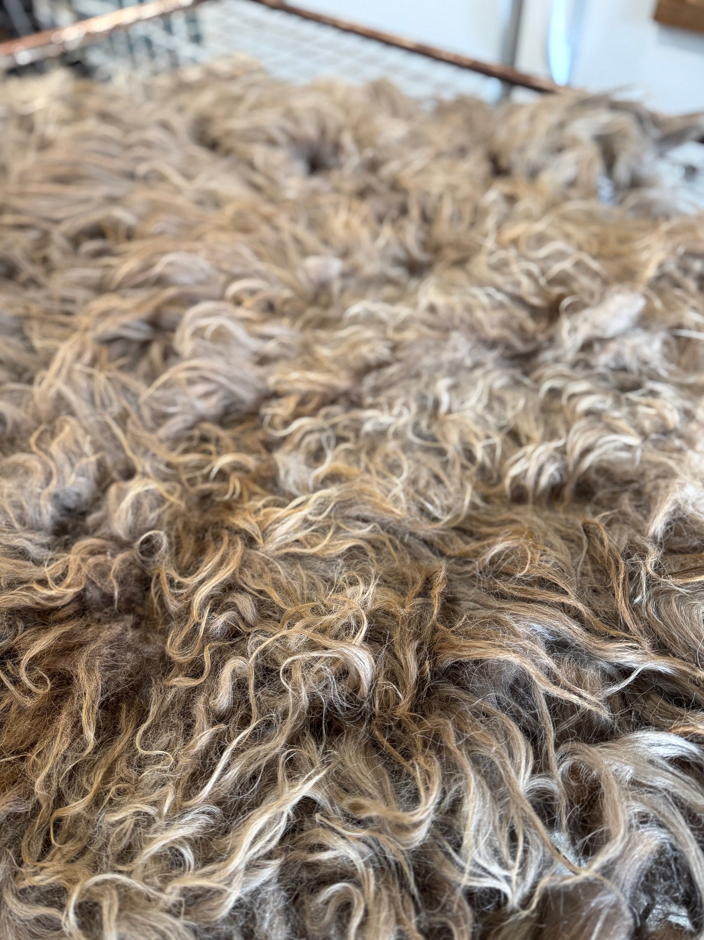 Icelandic Fall 2025 Fleece - “Helga”