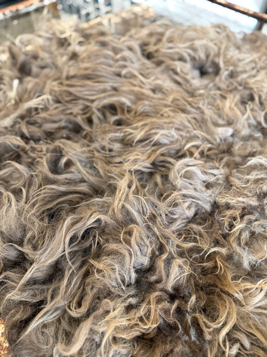 Icelandic Fall 2025 Fleece - “Helga”
