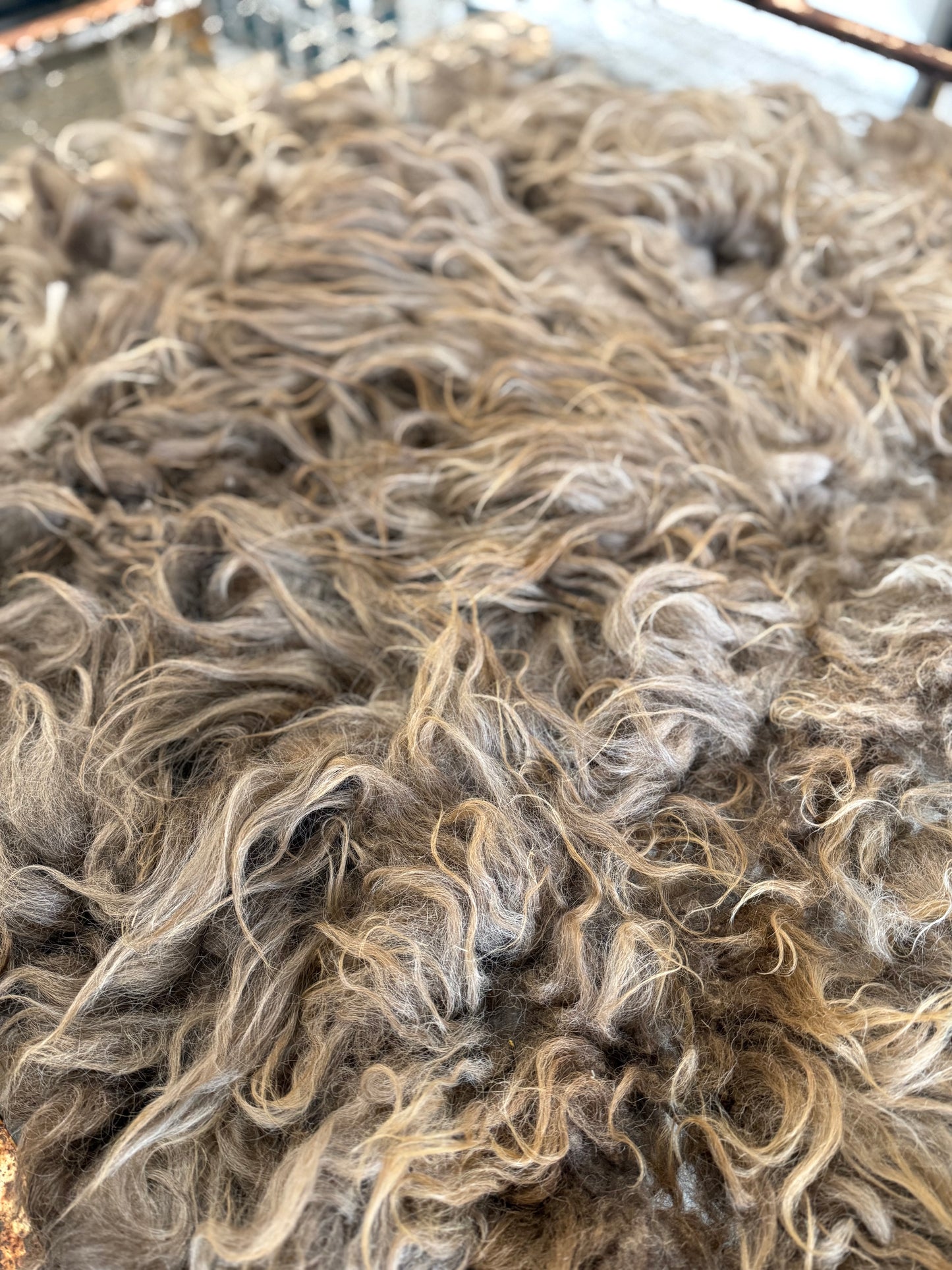 Icelandic Fall 2025 Fleece - “Helga”