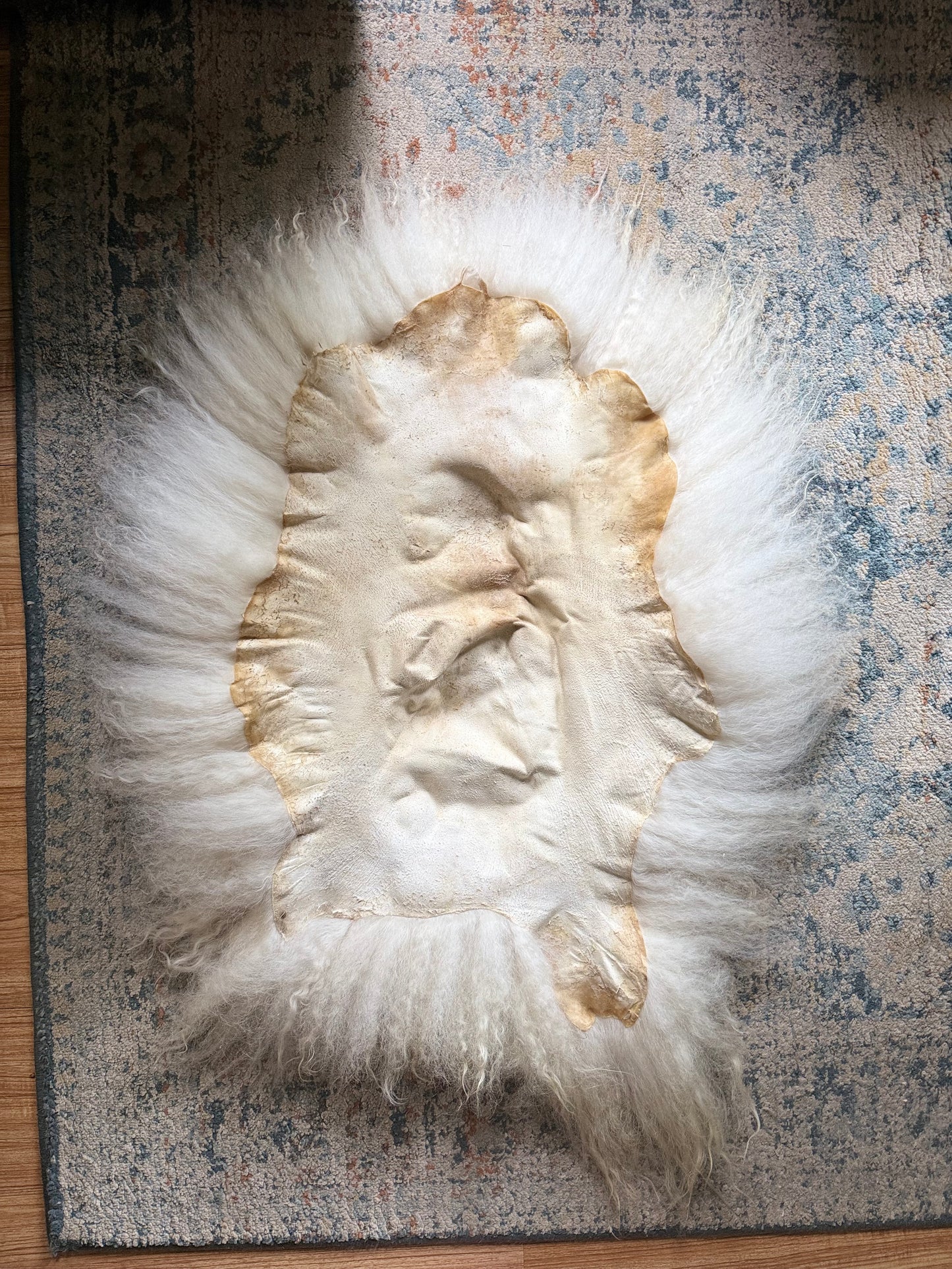 Icelandic Sheepskin - “Peggy”