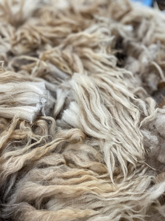 Navajo Churro Lamb Fleece - Cruze