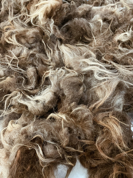 Icelandic Fleece - Gwyneth