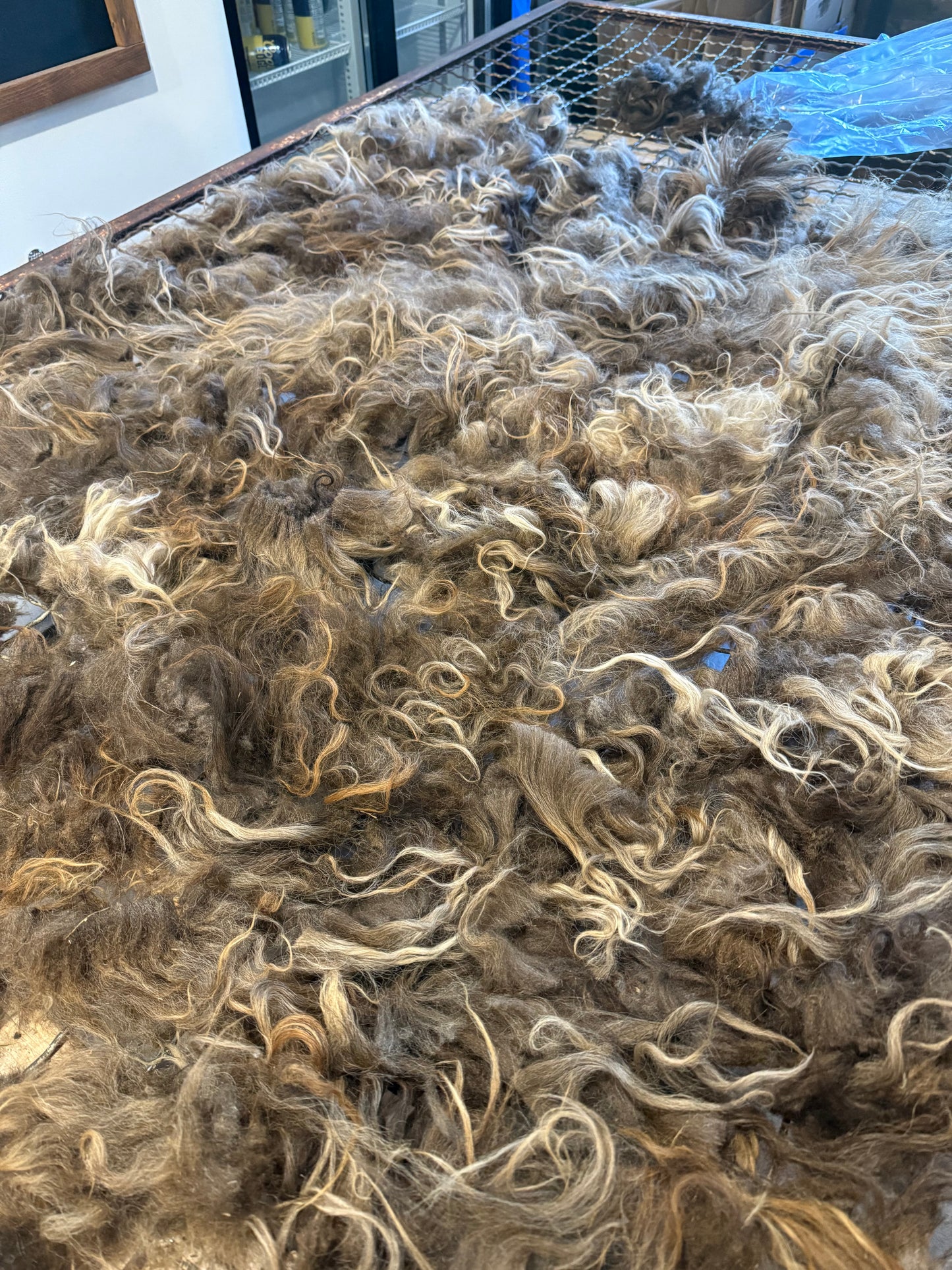 Icelandic Fall 2025 Fleece - “Inrama”