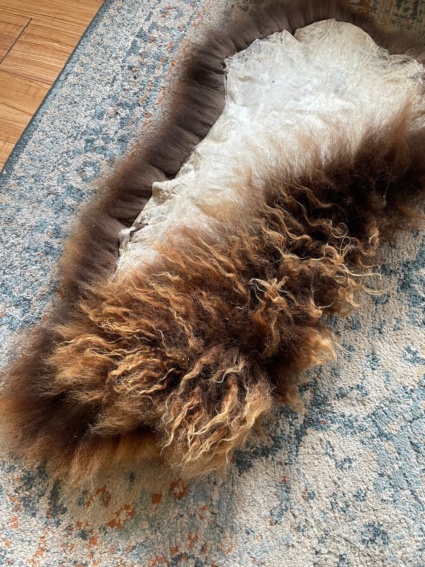 Icelandic Hide - “Isak”