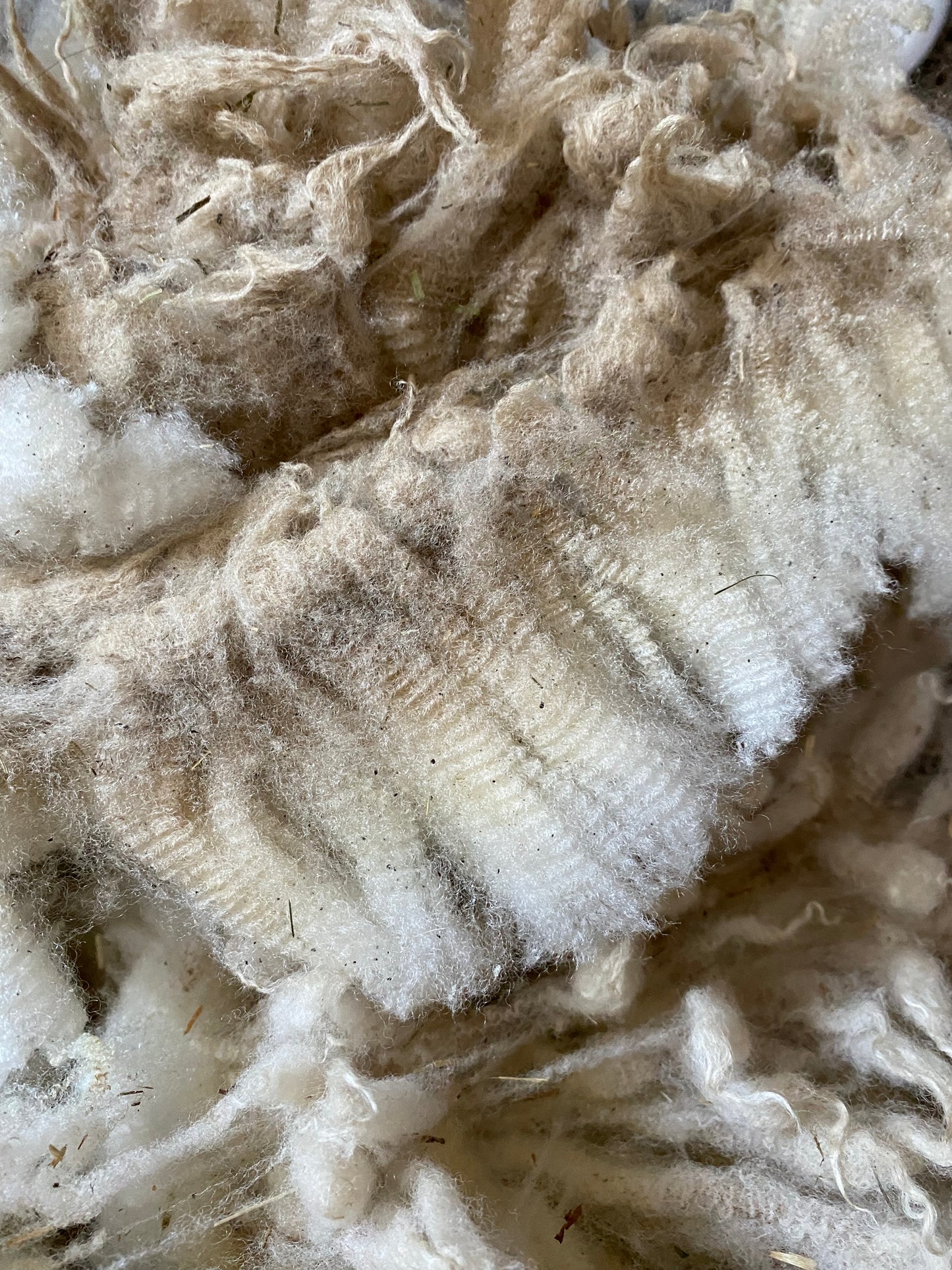 Wool Dryer Balls - Alberta Wool
