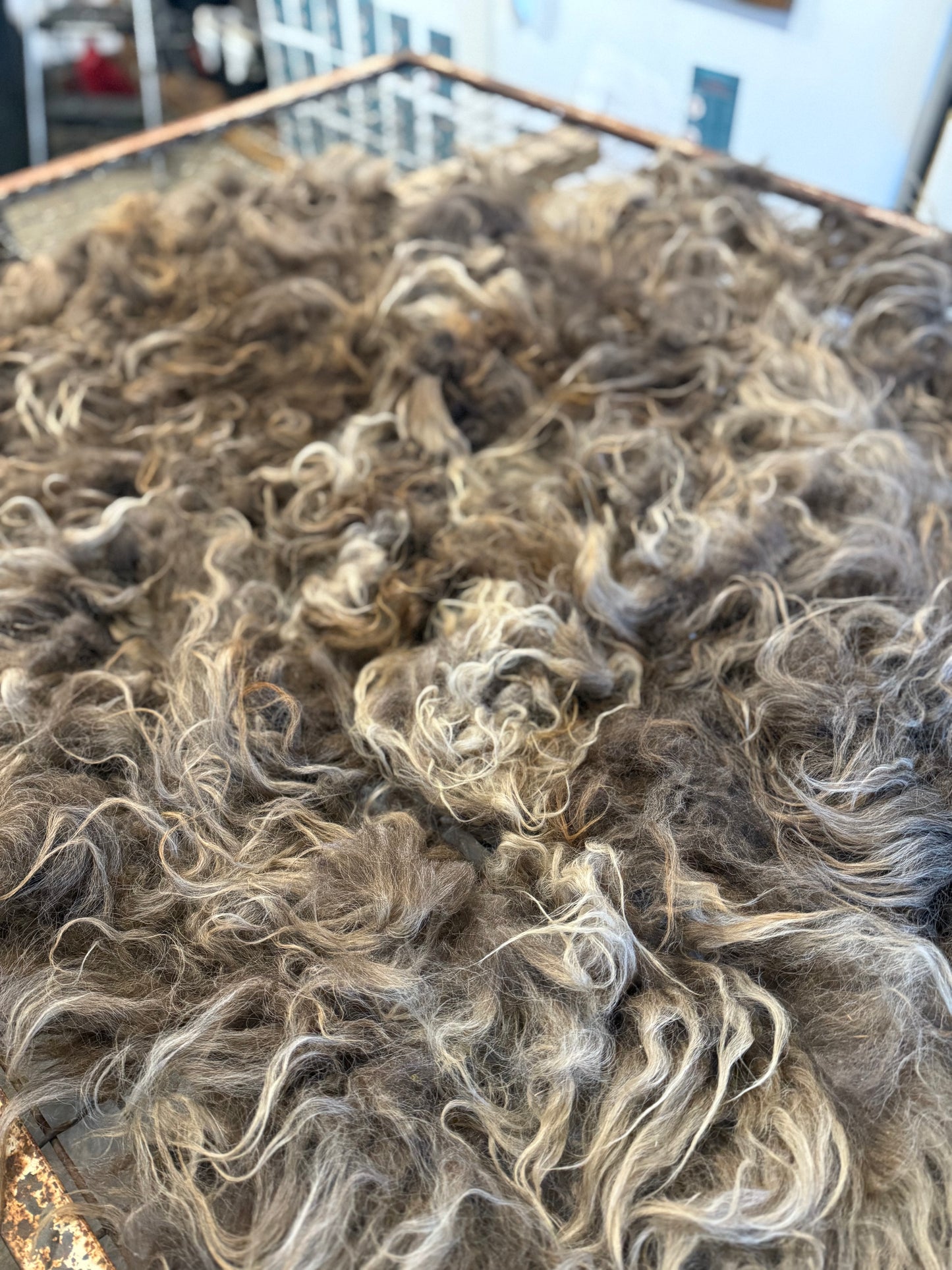 Icelandic Fall 2025 Fleece - “Inrama”