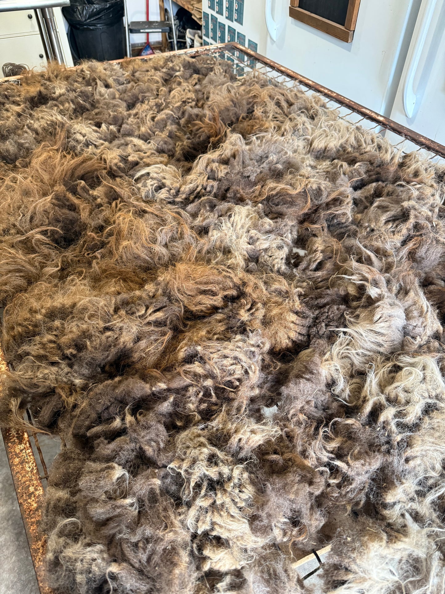 Icelandic Fall 2025 Fleece - “Isa”