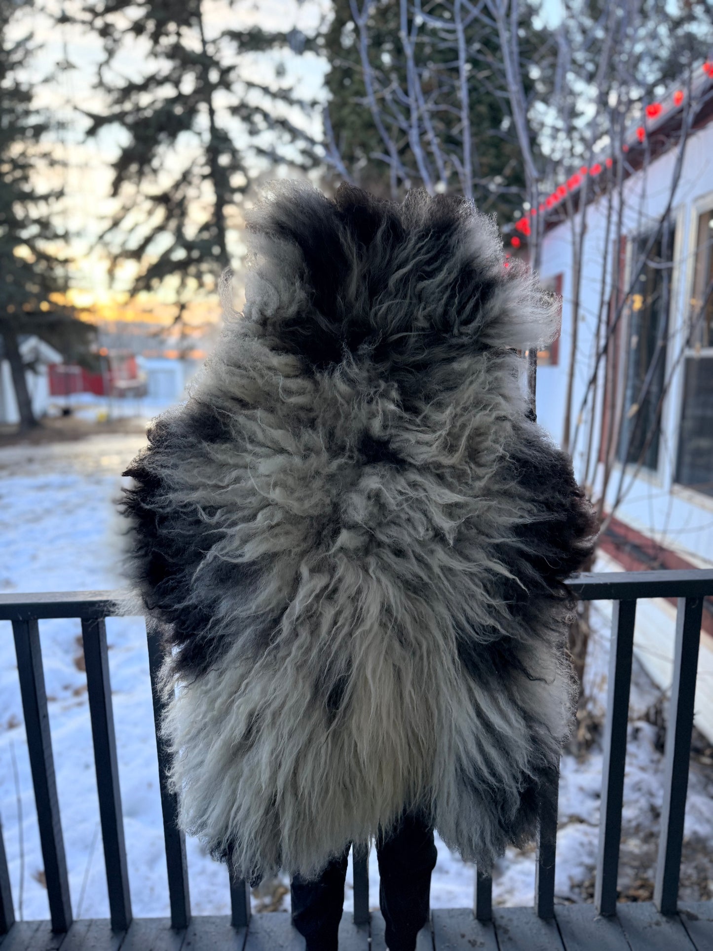 Navajo Churro Sheepskin - “Rogan”