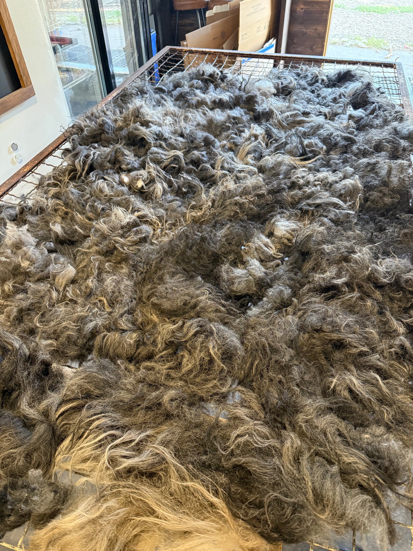 Icelandic Fall 2025 Fleece - “Skadi”