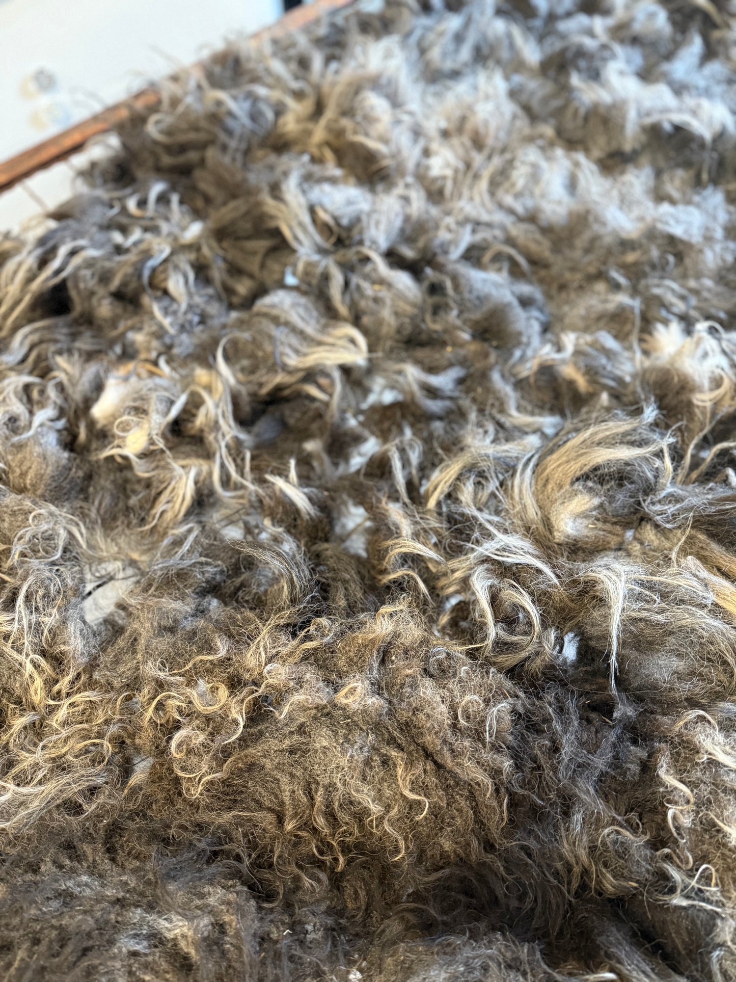 Icelandic Fall 2025 Fleece - “Skadi”