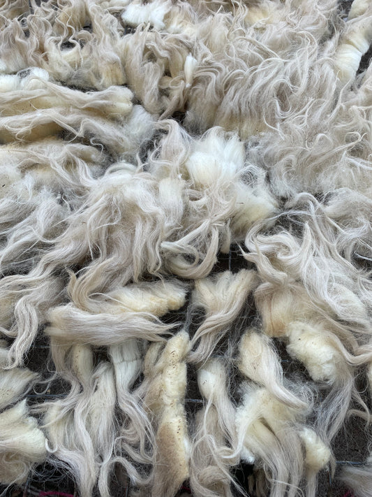 Navajo Churro Fleece - Snow