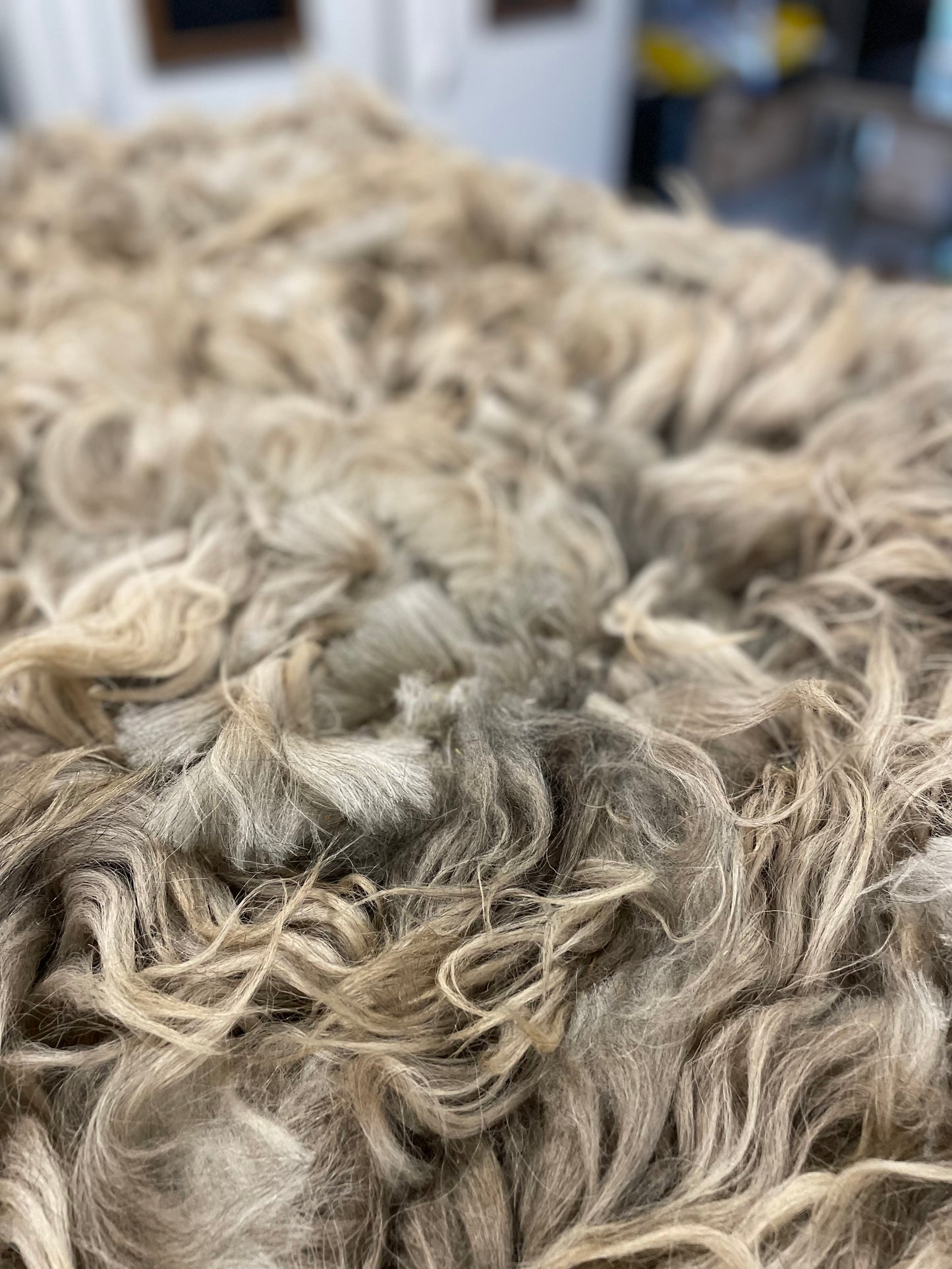 Navajo Churro Fleece - Honey