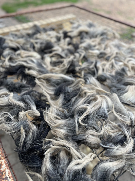 Navajo Churro Fleece - Ronin