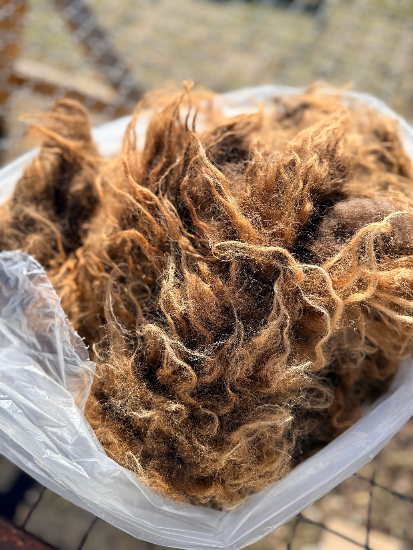Spring 26’ Icelandic Fleece - “Faida”
