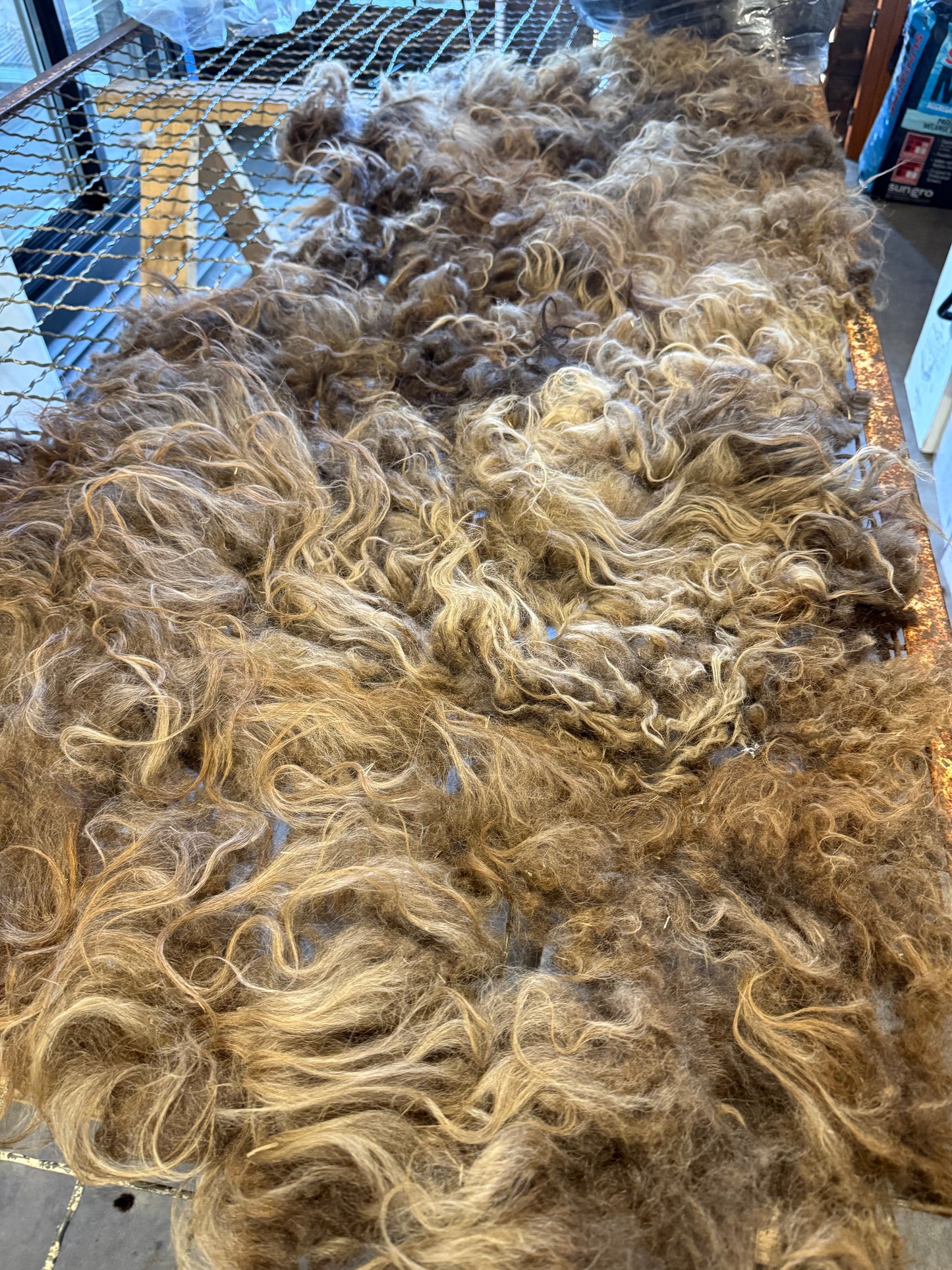 Icelandic Fall 2025 Fleece - “Gwyneth”