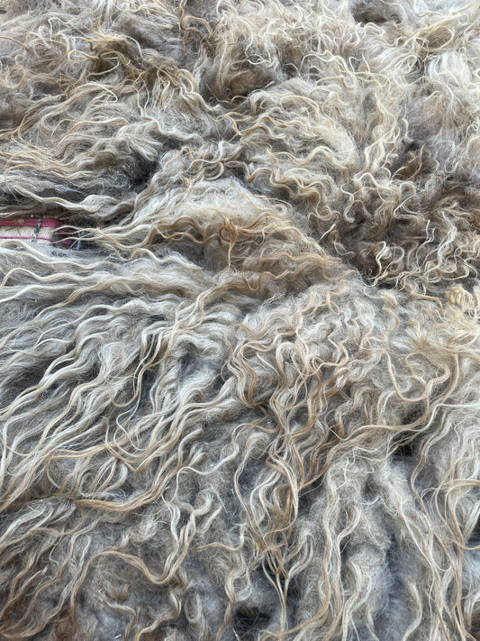 Icelandic Fleece - Annie