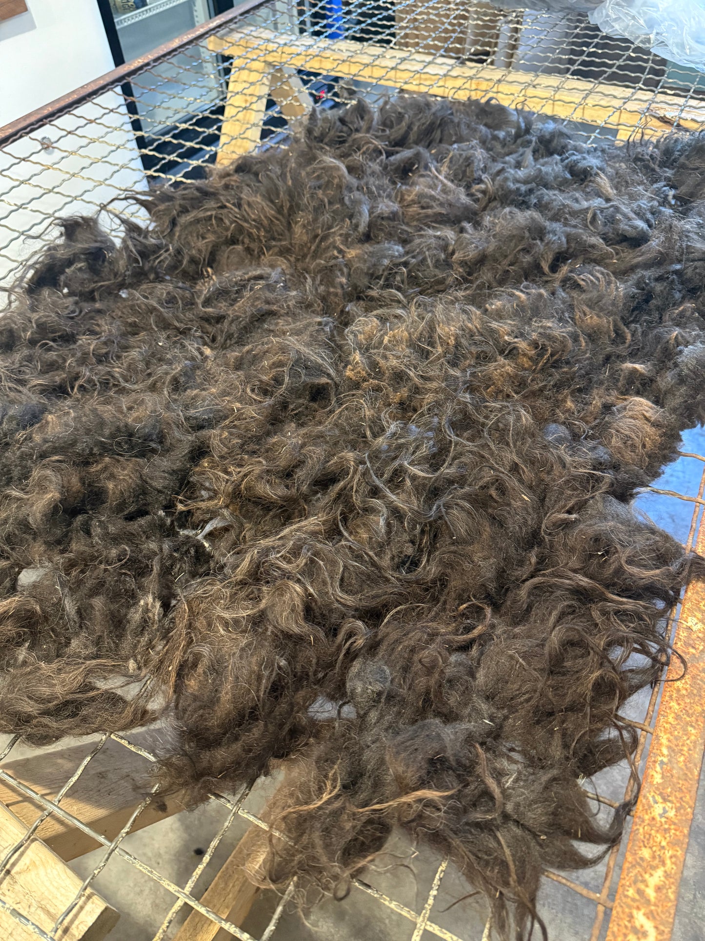 Icelandic Fall 2025 Fleece - “Fjóla”