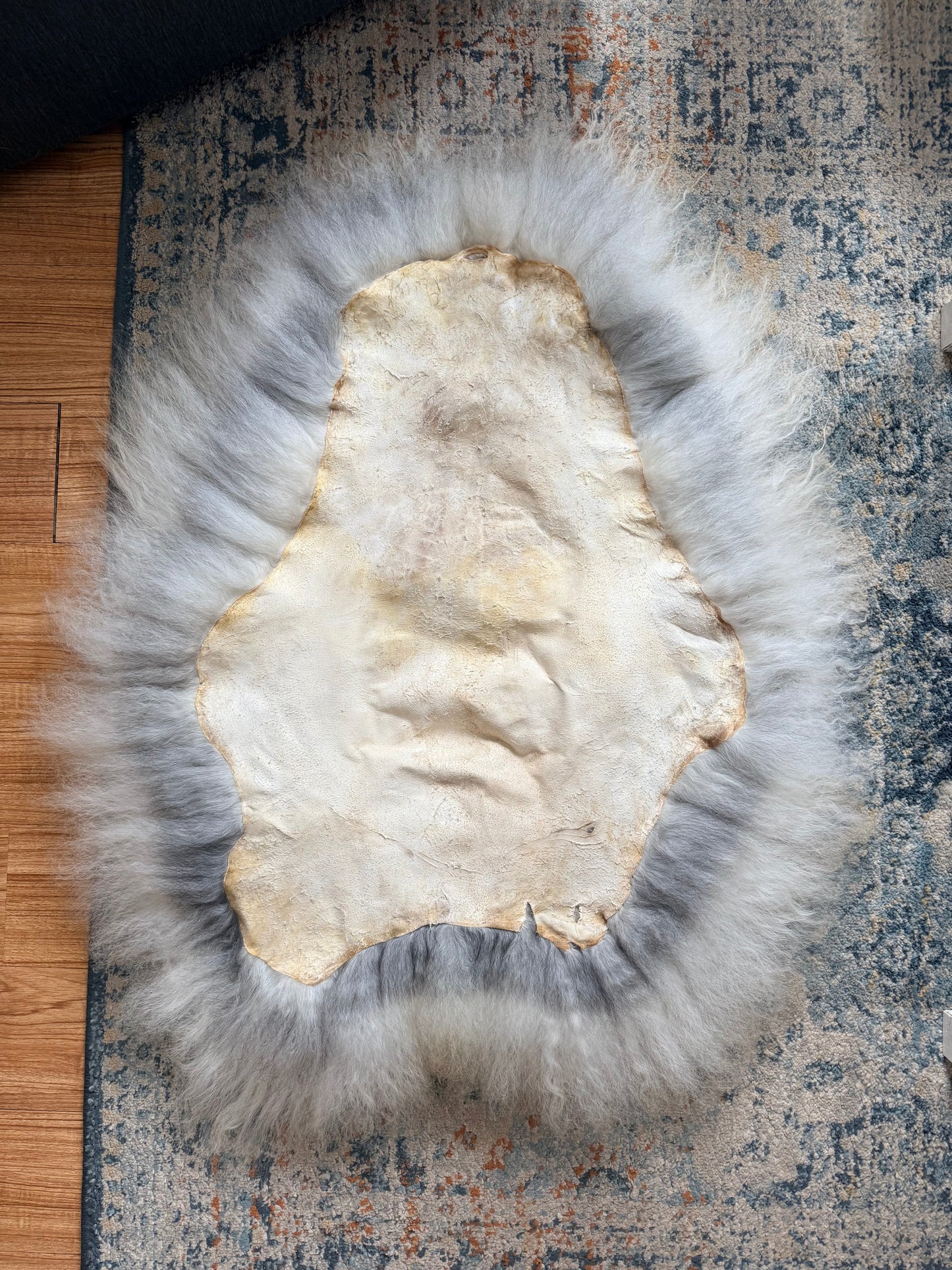 Icelandic Sheepskin - “Aubrey”