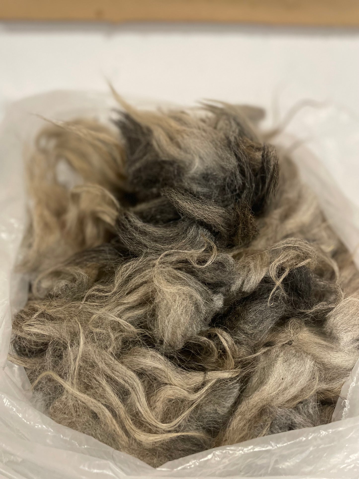 Navajo Churro x Icelandic Fleece - Rue