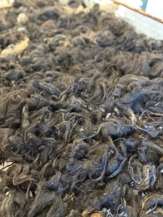 Icelandic Fall 2025 Fleece - “Sunna”