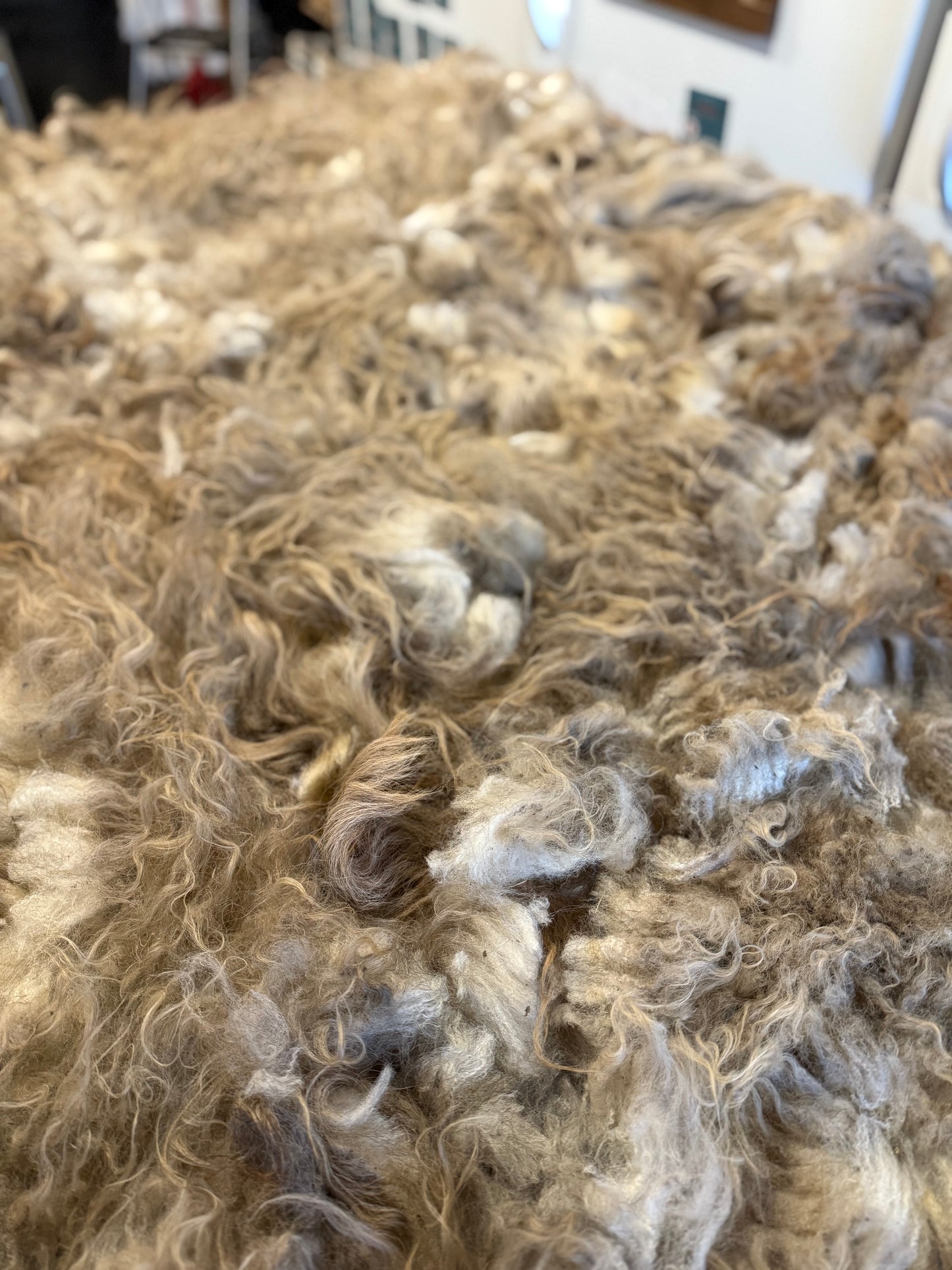 Icelandic Fall 2025 Fleece - “Icy”