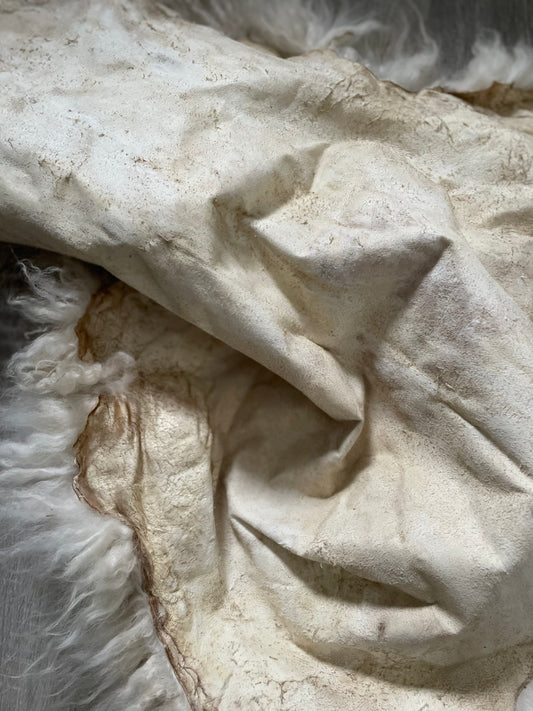 Egg Tanning Guidebook